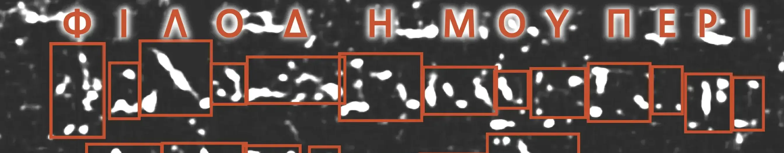 First Title Prize banner